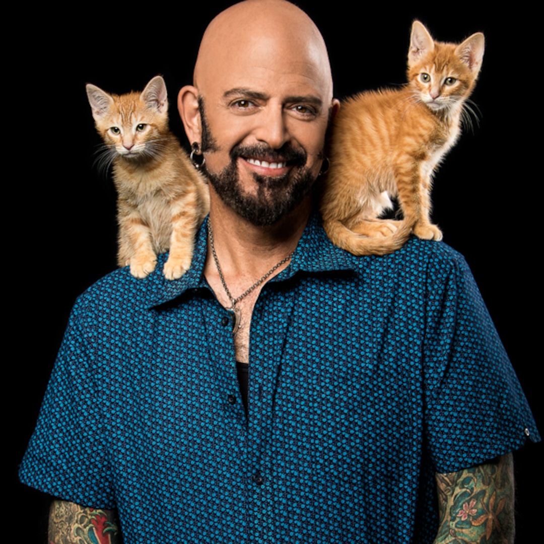 Jackson Galaxy Is Returning With My Cat From Hell Coronavirus Special To Help With Feisty Felines E Online